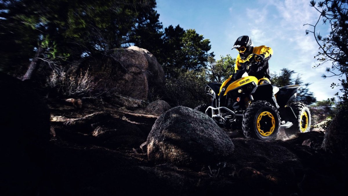 BRP can-am снегоход
