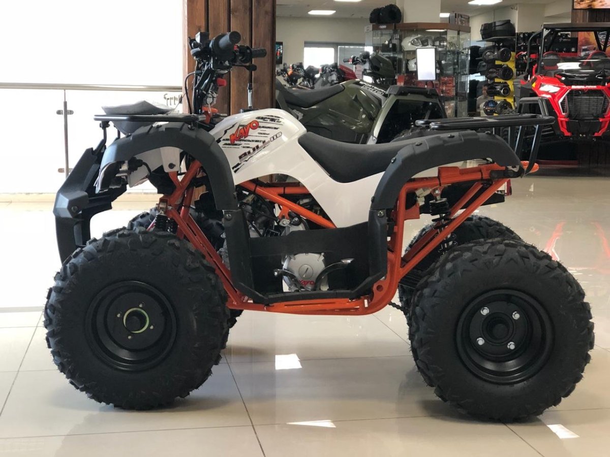 Kayo Mini bull 110