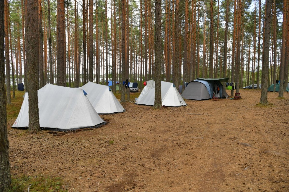 Сямозеро Карелия с палатками