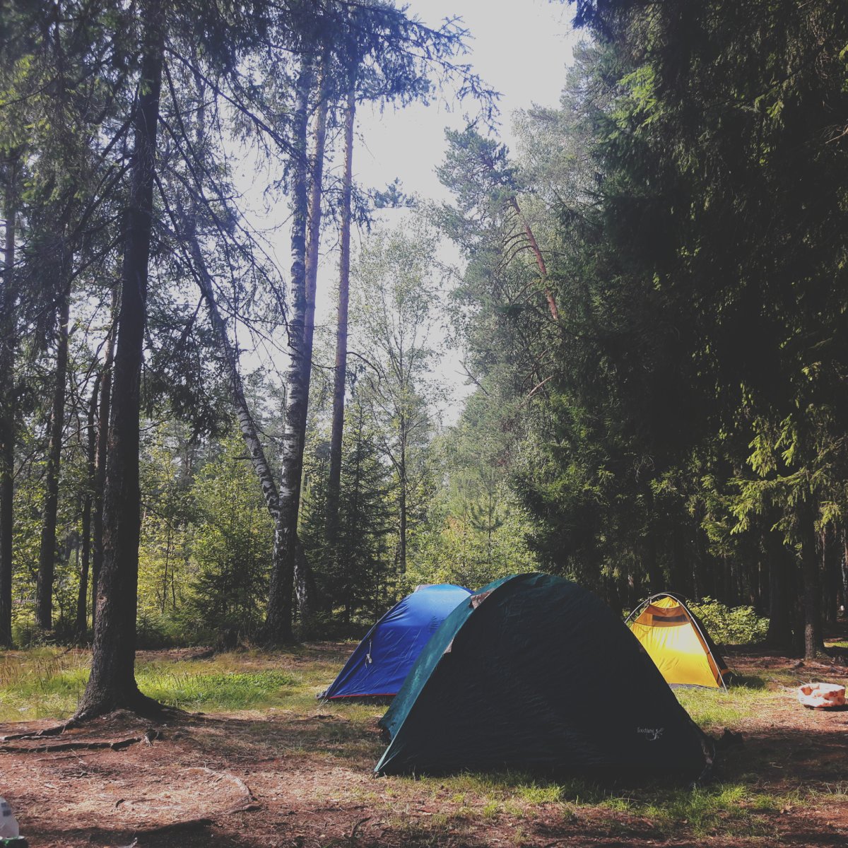 Красивые места для палаток в Ленинградской области