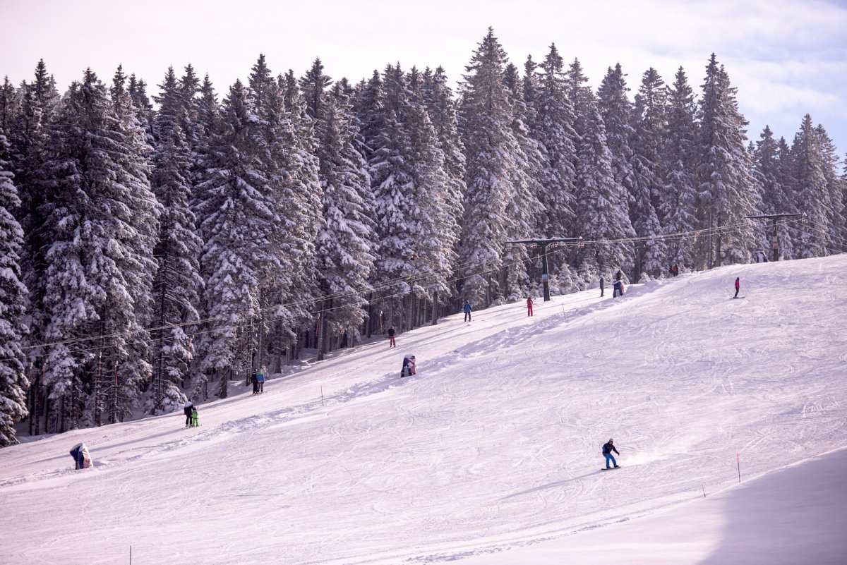 Словения Рогла лыжи