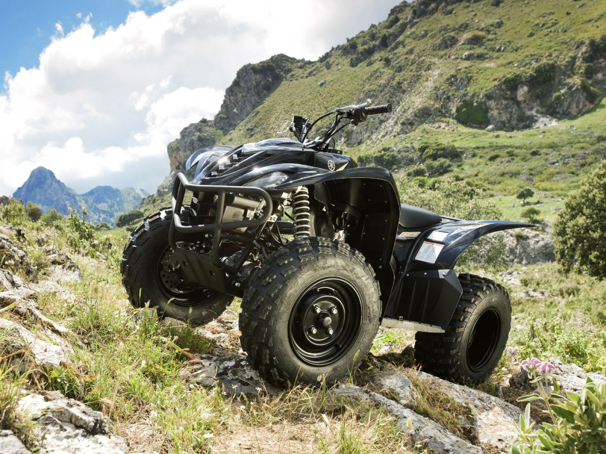 Квадроцикл Wolverine Yamaha