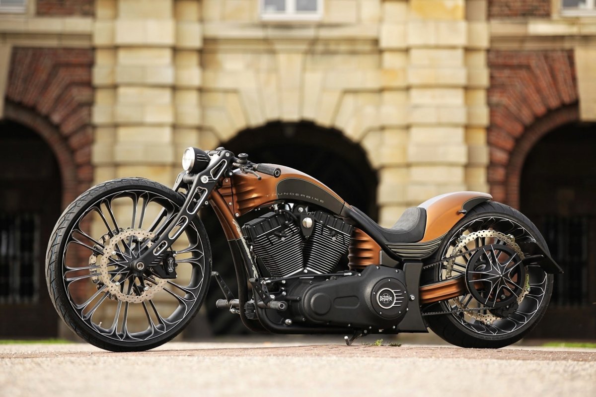 Harley Davidson Thunderbike Custom