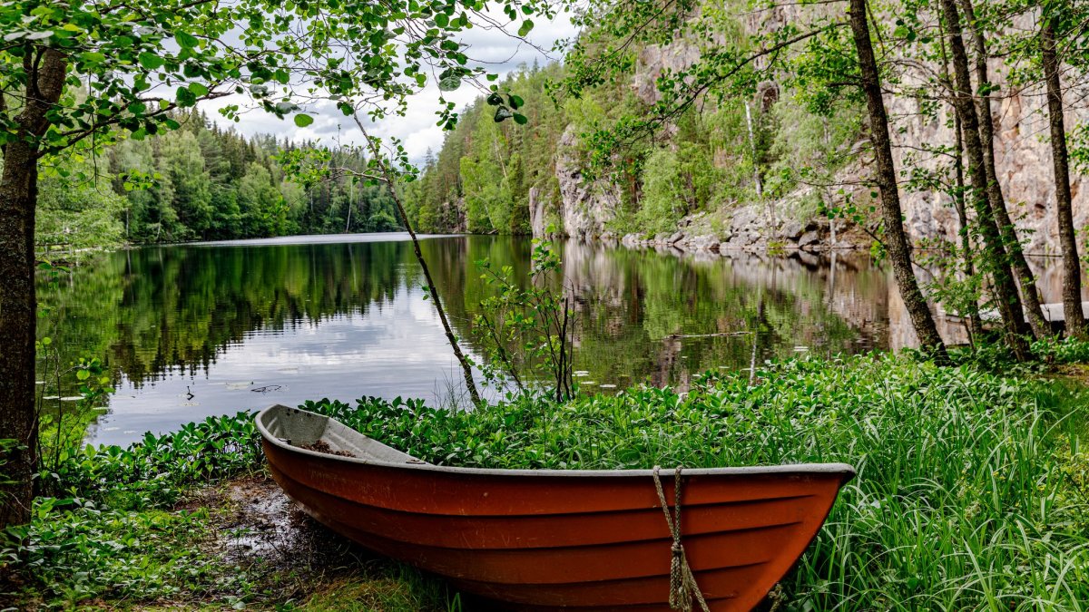 Озеро с деревом и лодка
