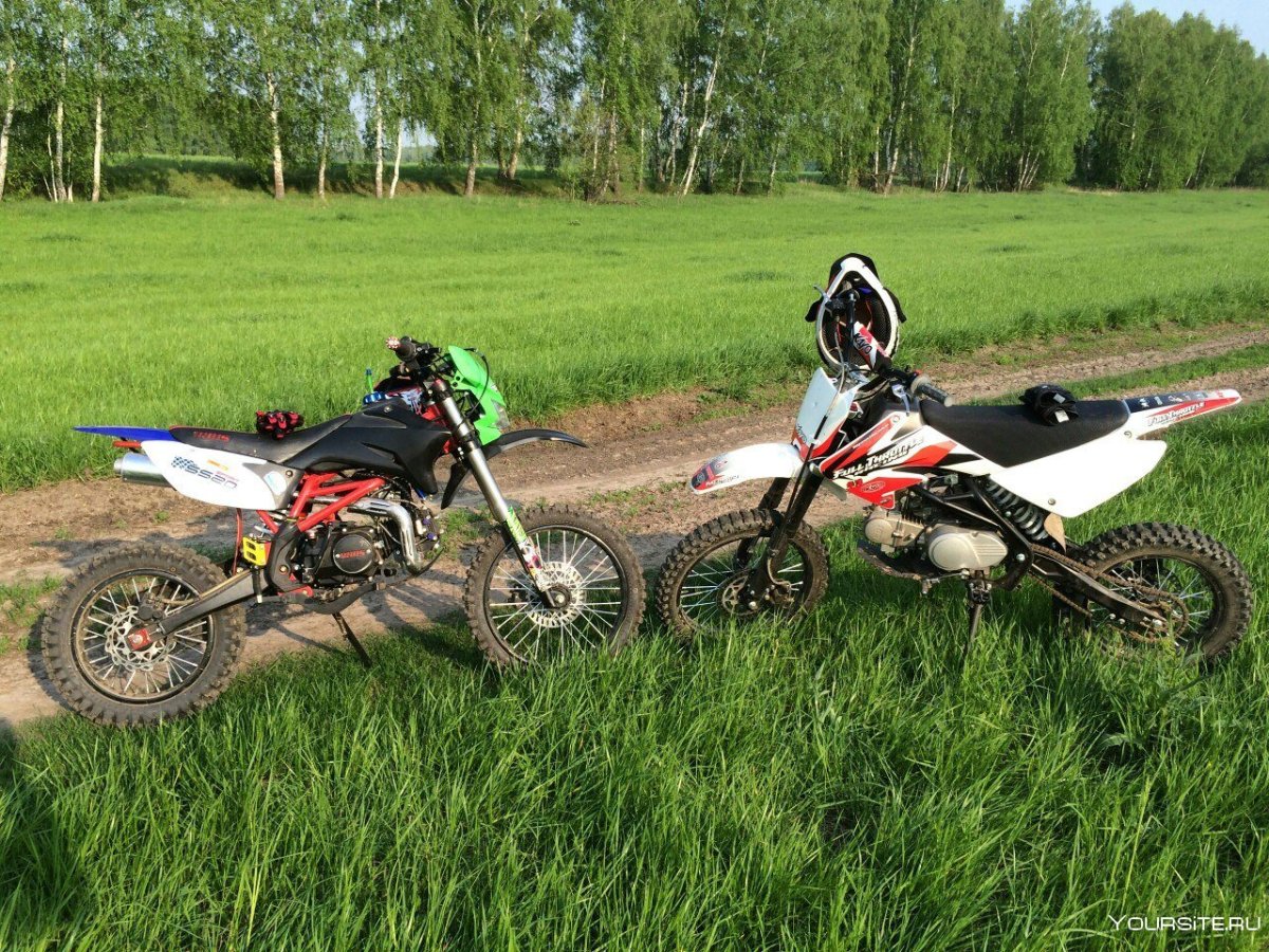 Kayo 125 Basic в лесу