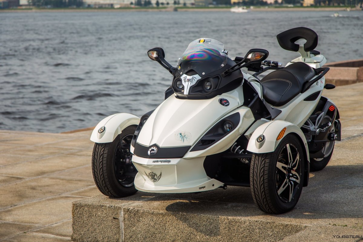 Трицикл спереди 2