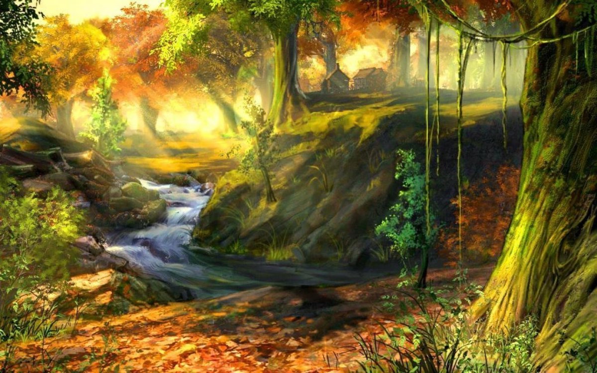 Сказочные пейзажи леса