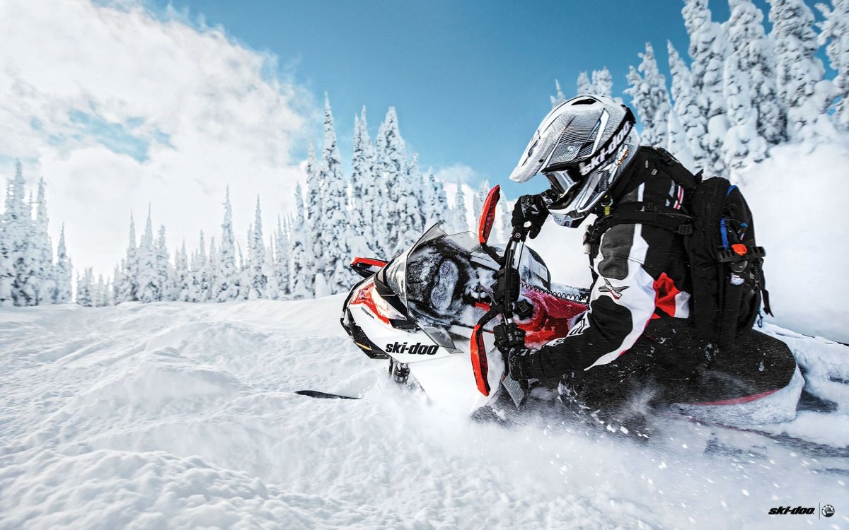 Renegade Backcountry-x 800r e-Tec 2014