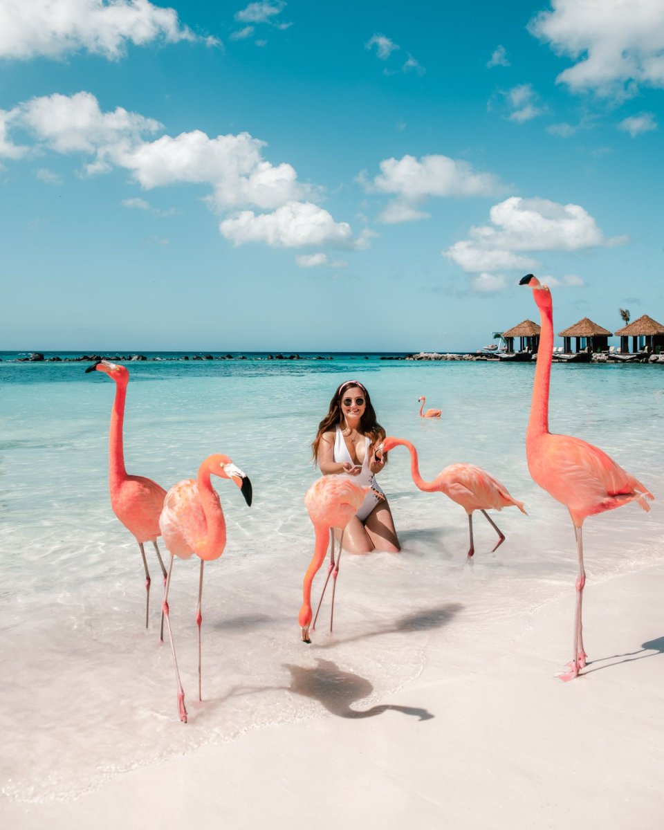 Кайо Коко пляж Фламинго