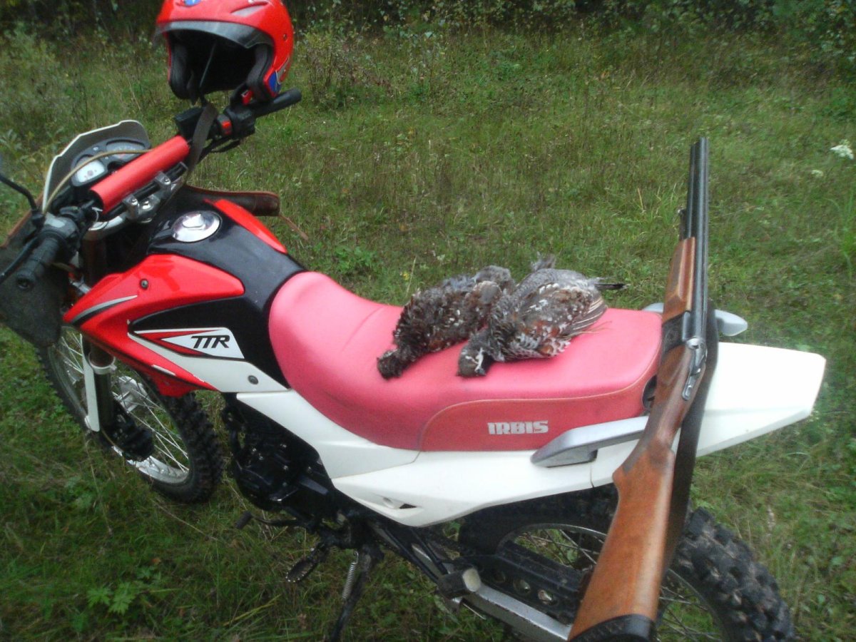 Багажник на Ирбис ТТР 250