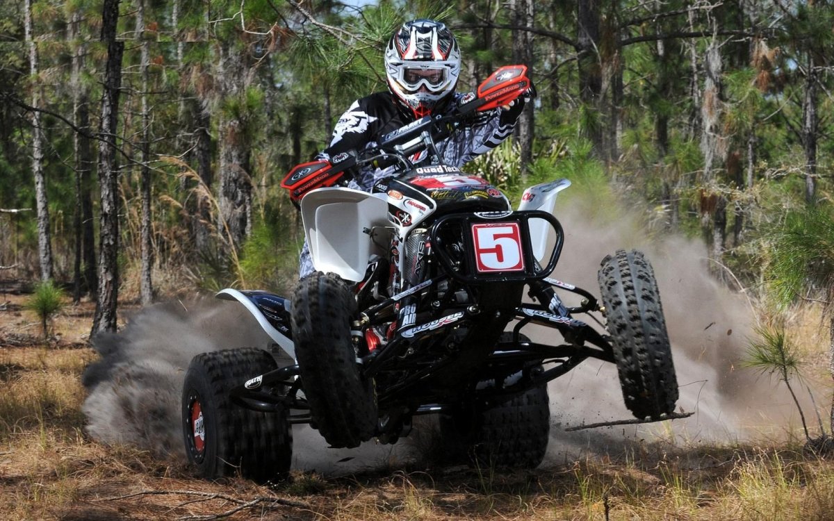 Квадроцикл Honda TRX 450