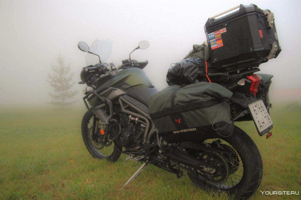 Triumph Tiger t100sc Sport