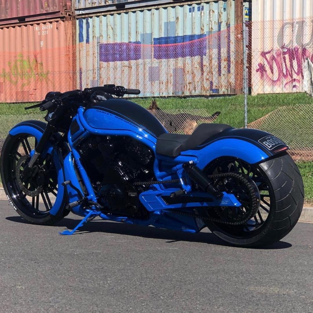 Harley v Rod Custom