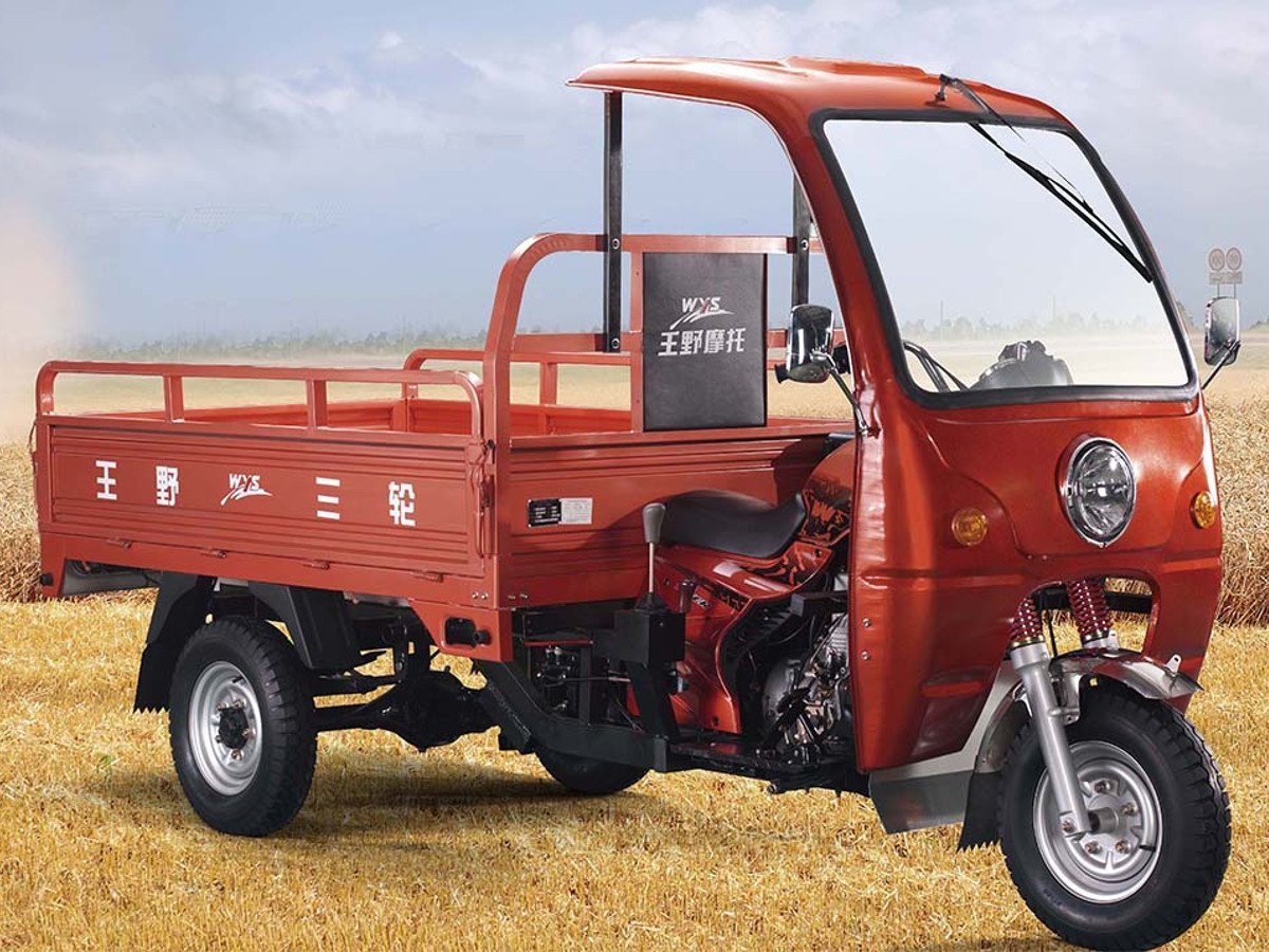 Муравей мотороллер Мунис