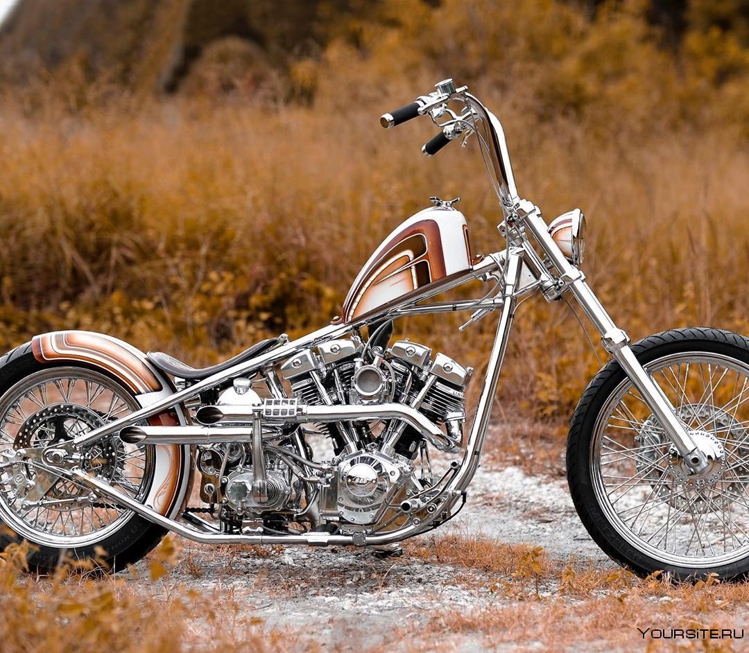 Harley Davidson shovelhead Chopper