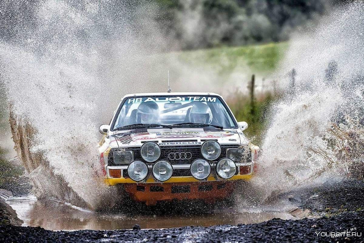 Audi 80 ралли