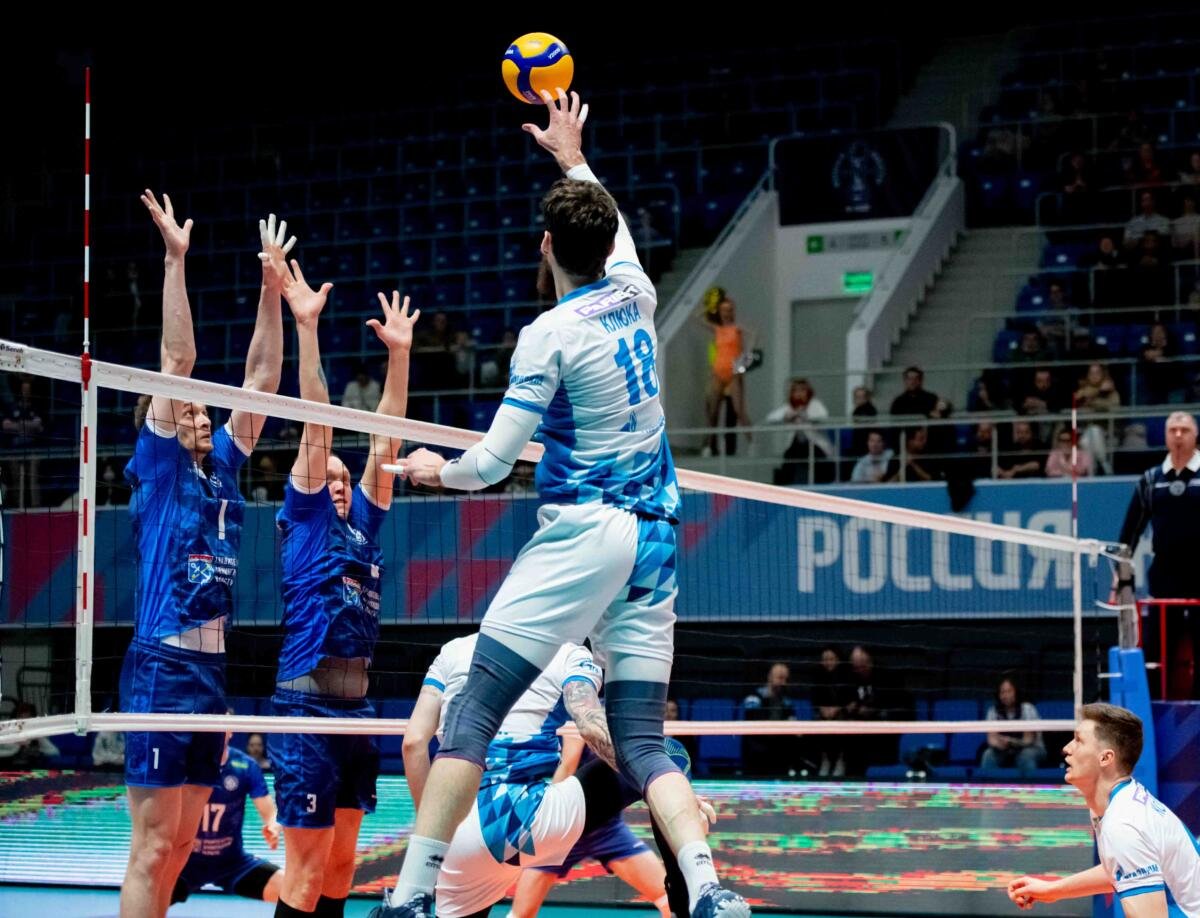 Волейбол чемпионат россии динамо москва локомотив