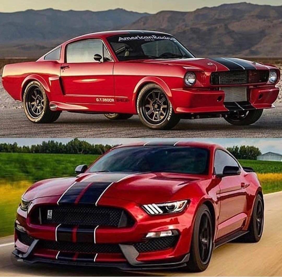 Ford Mustang gt500 5 поколение