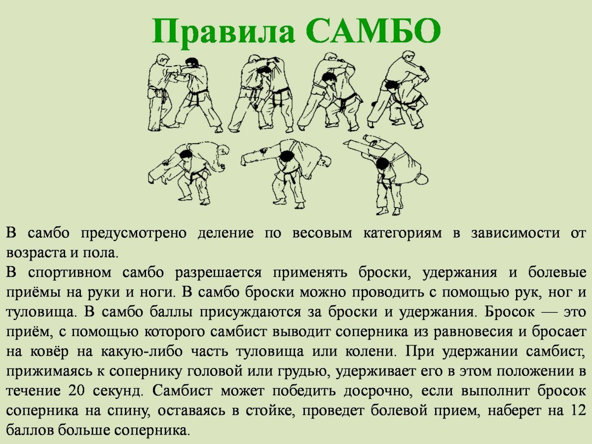 Правила борьбы самбо