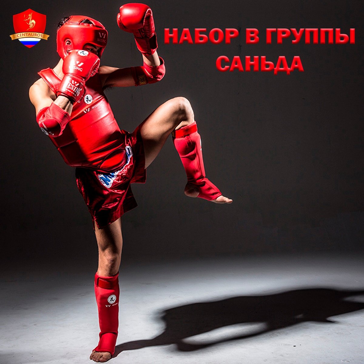 Ушу саньда ММА