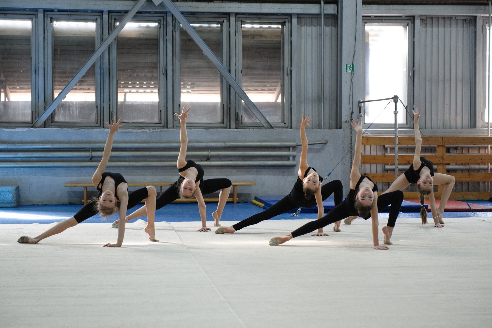 Обучение движению группой. Гимнастические движения. Художественная гимнастика. Профессиональная гимнастика. Школа художественной гимнастики.