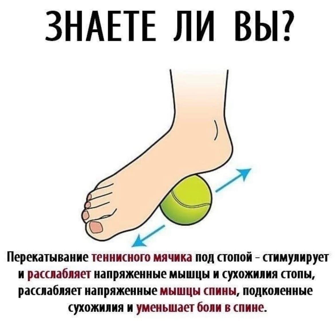 Плотность теннисного шарика
