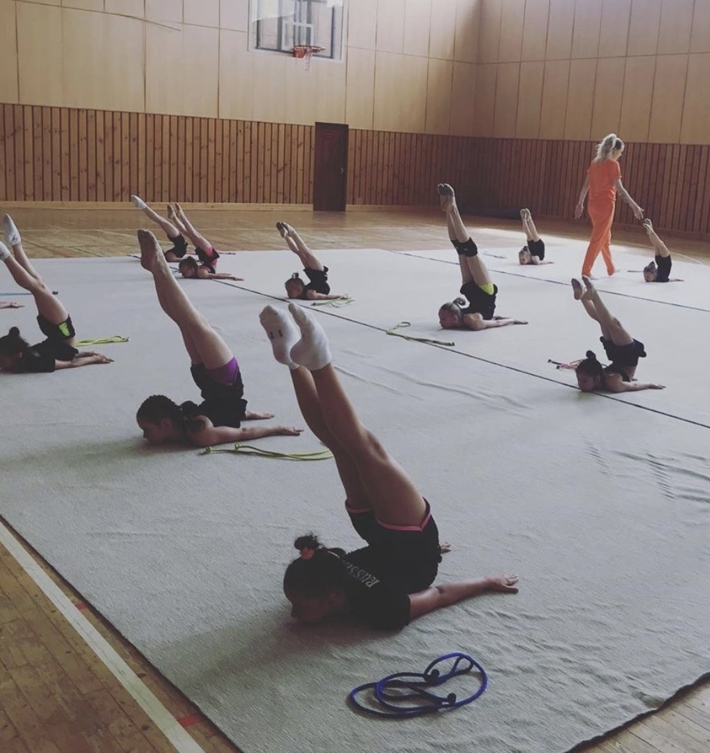 СФП В художественной гимнастике