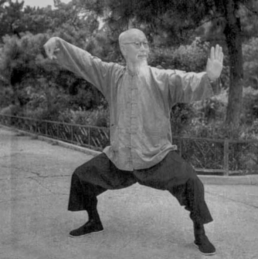 Цигун Тайцзи кунг фу