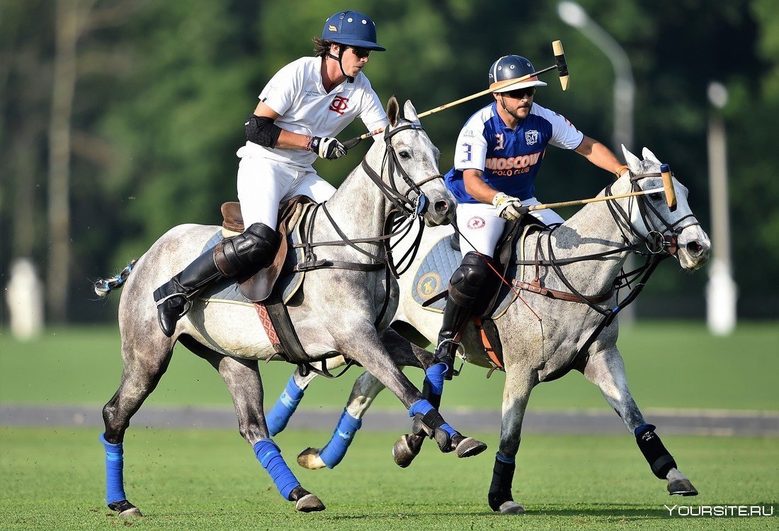 Поло Polo Sport