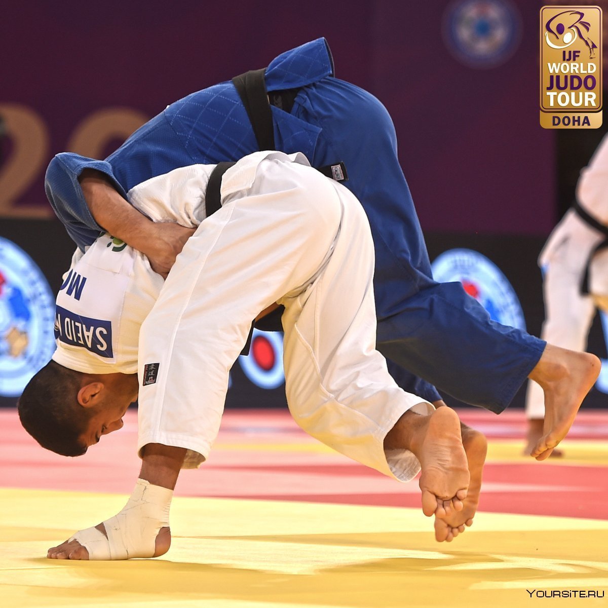 Международная Федерация дзюдо (IJF)