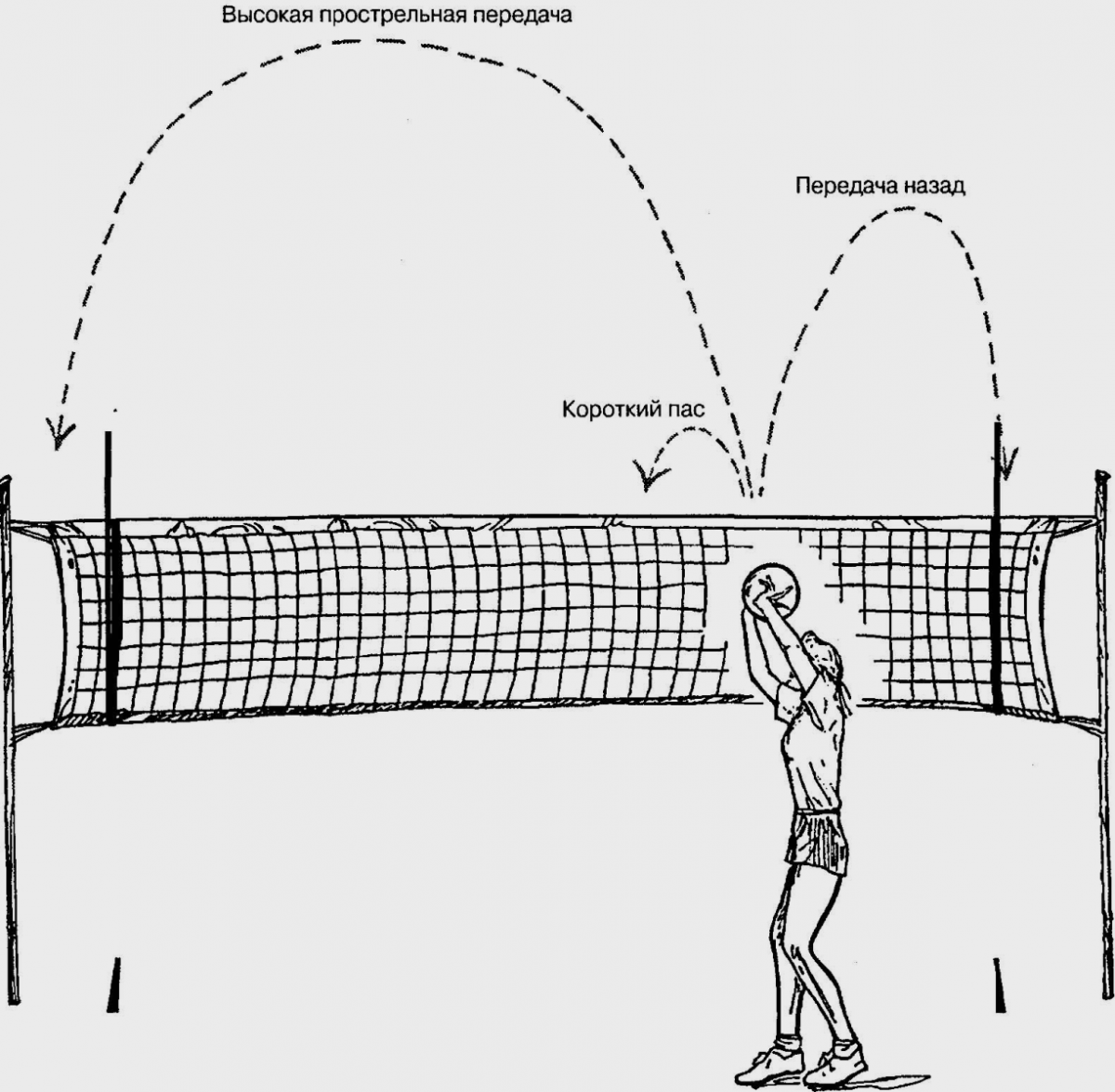 Траектория полета мяча в волейболе