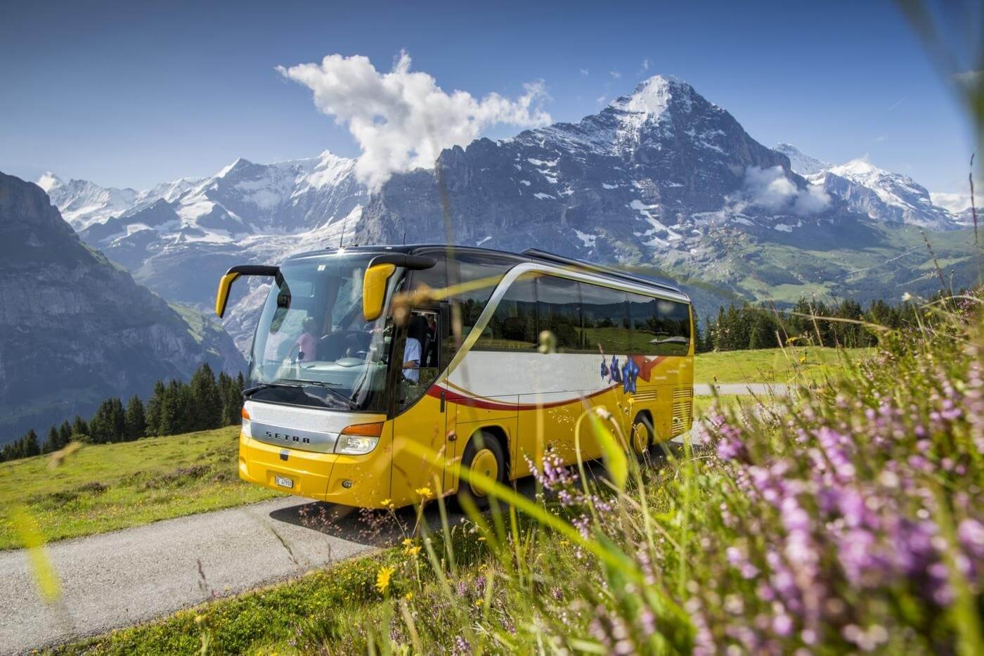 Автобус для путешествий. Экскурсия на автобусе. Тур автобус. Автобусный тур в горы.