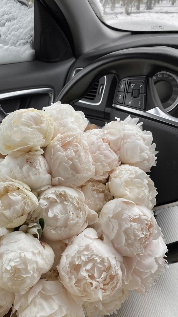 Пионы в машине