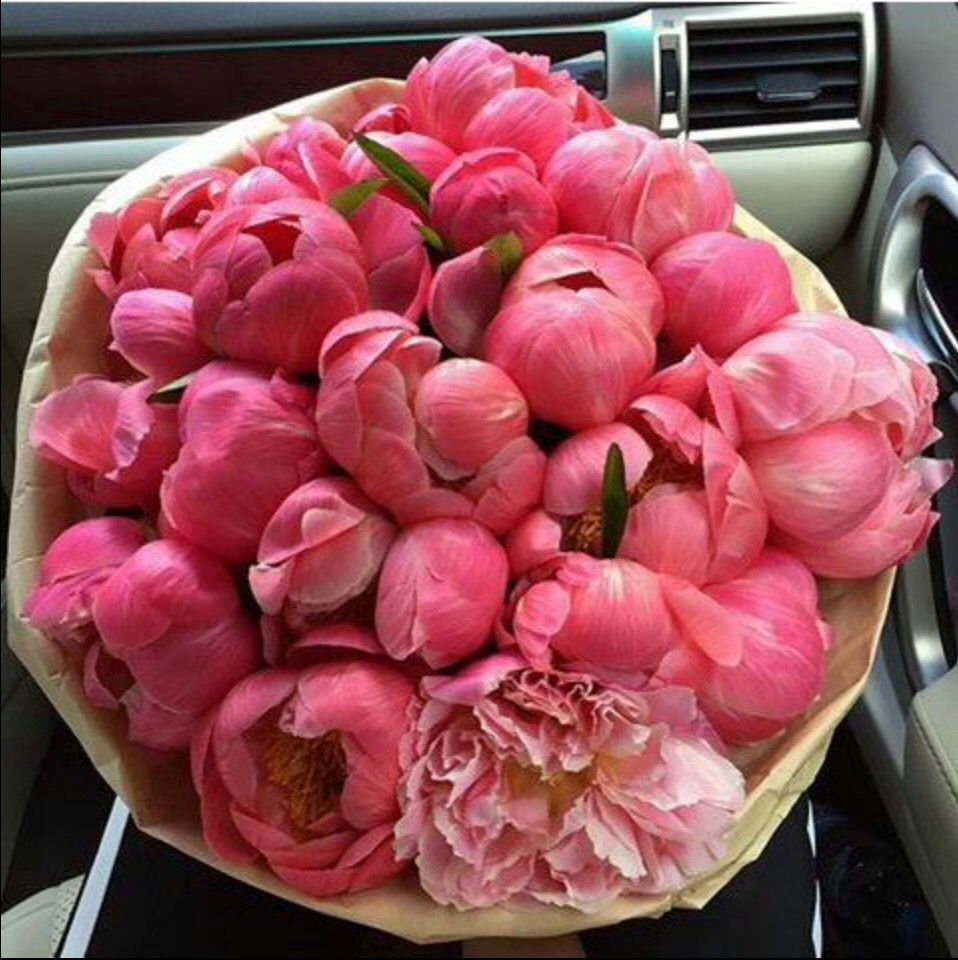 Пионы букет в машине