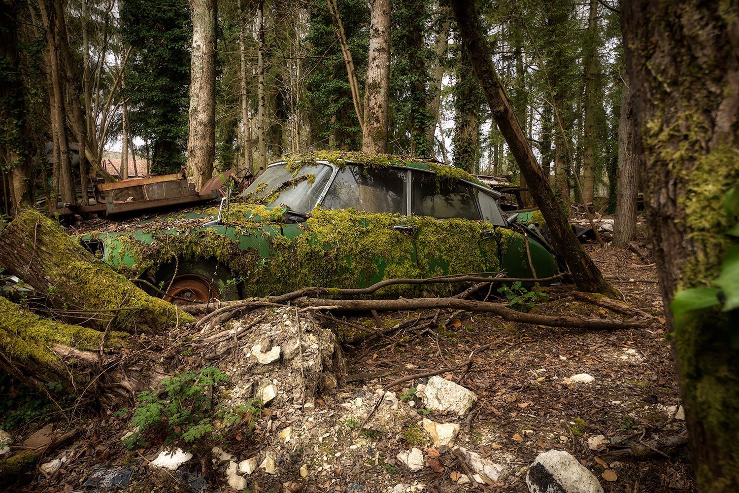 Машины замаскированы. Заброшенные машины. Машина в лесу. Брошенные авто в лесу. Заброшенные авто в лесу.