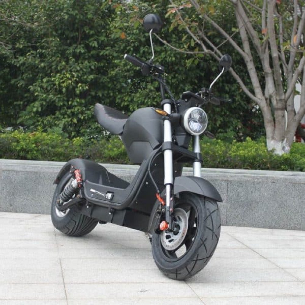 Citycoco Skyboard br-Moto 2000w
