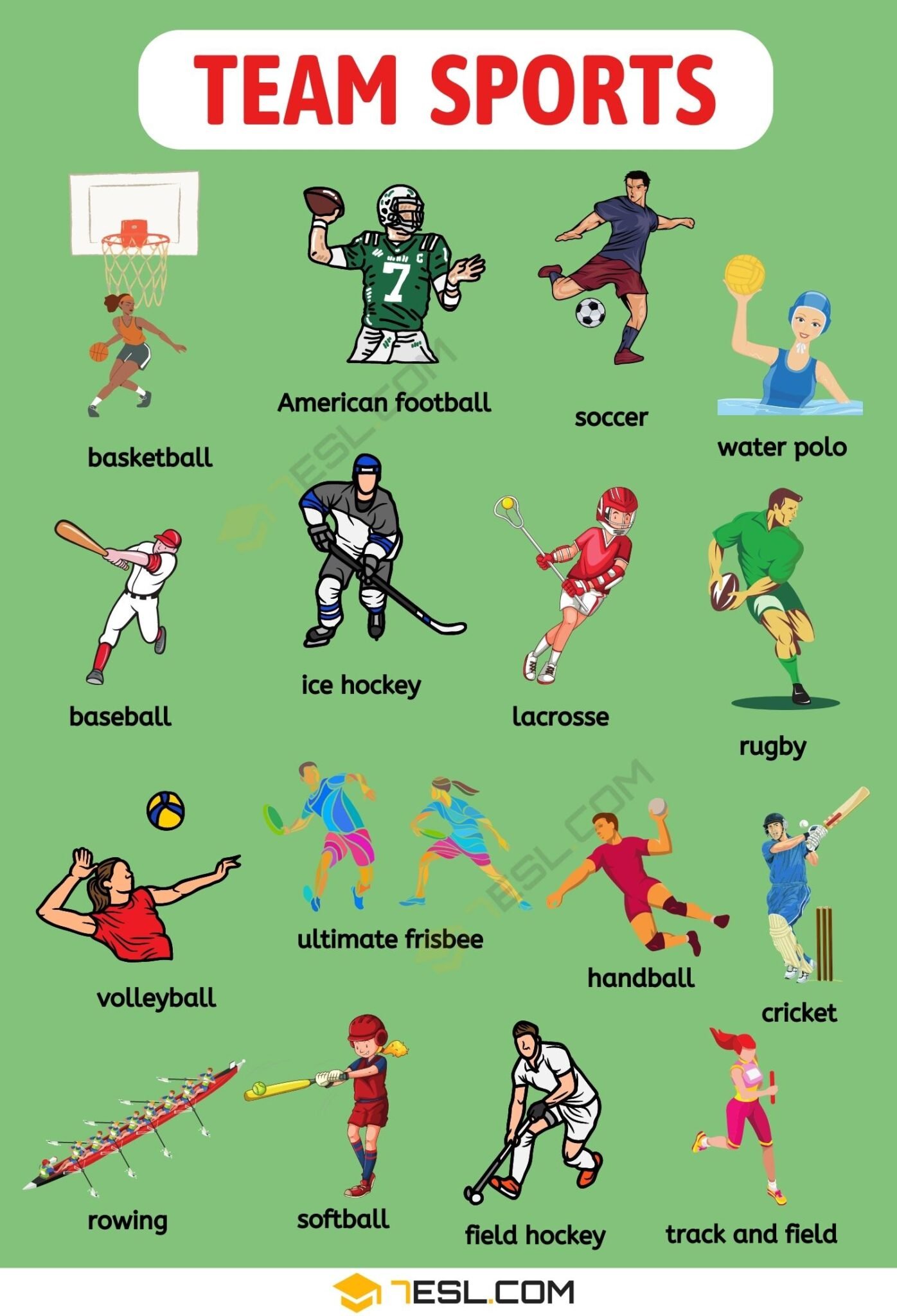 Which sport are popular. Самые популярные командные виды спорта. Спорт на английском. Групповые виды спорта. Спортивные игры на английском.