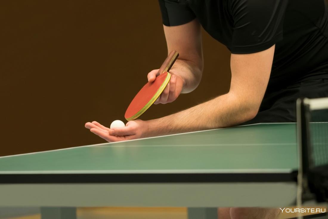 Хват ракетки Ping Pong. Какая подача в настольном теннисе