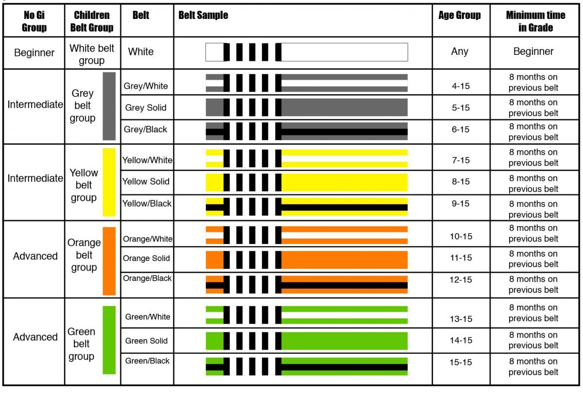 Джиу-джитсу пояса по порядку для детей цвету в России
