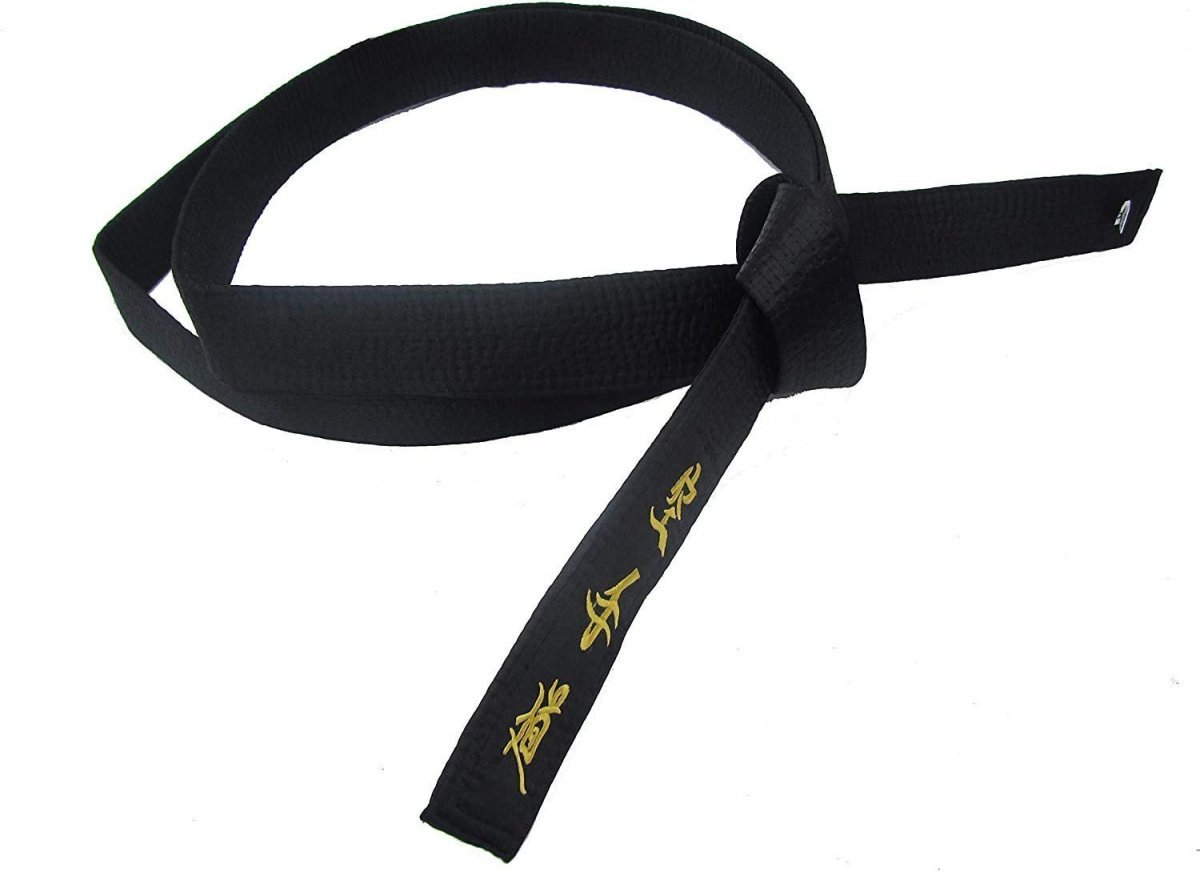 Hapkido Belt Ranks