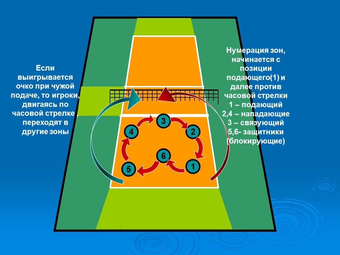 Волейбольная площадка схема с зонами