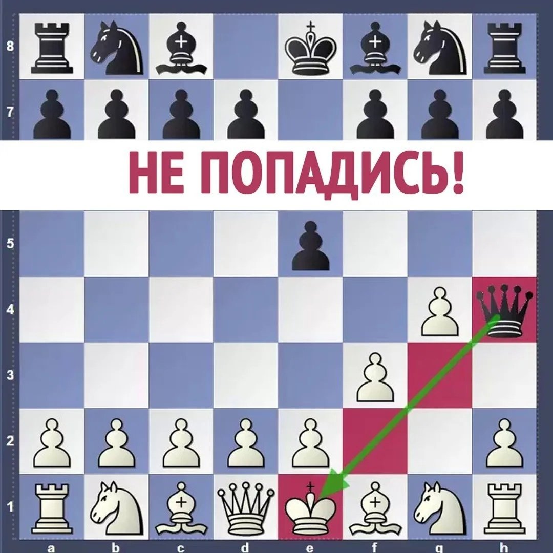 Детский мат в шахматах