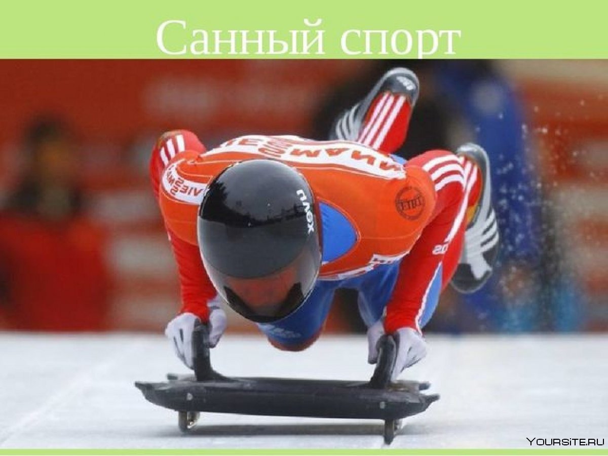 Санки вид спорта