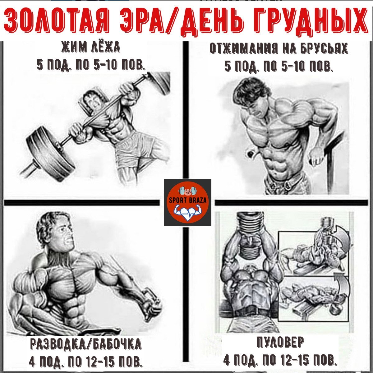 День.груди жим