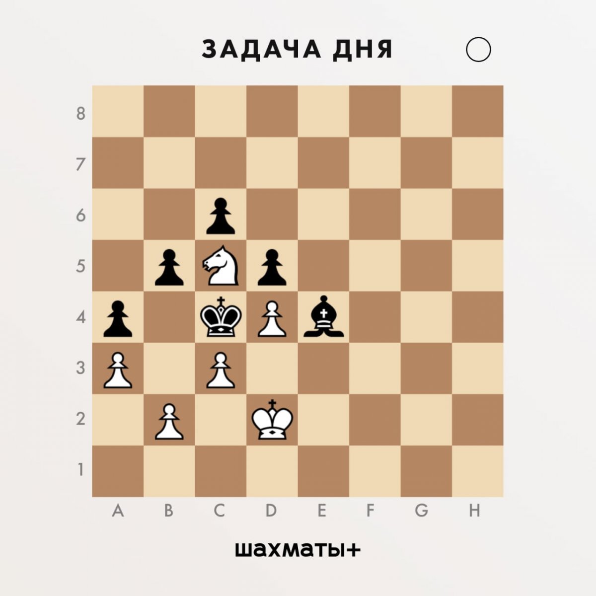Дурацкий мат в шахматах