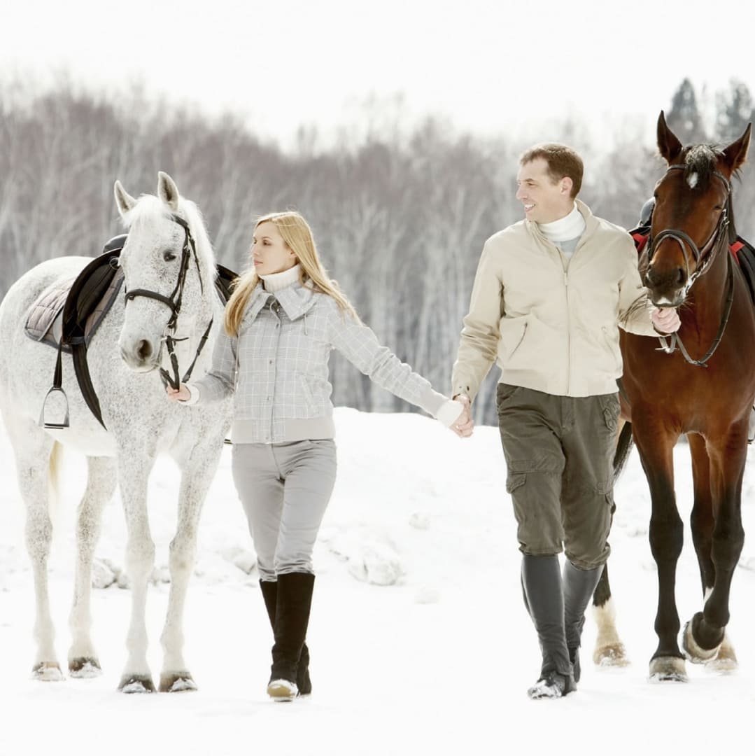 Крутые зимние Наряды для прогулки с лошадью