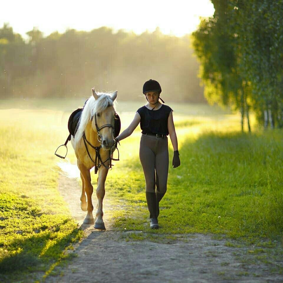 Прогулка на лошадях