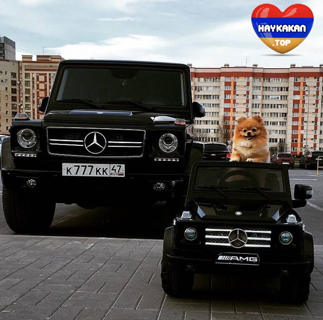 Гелендваген бандит
