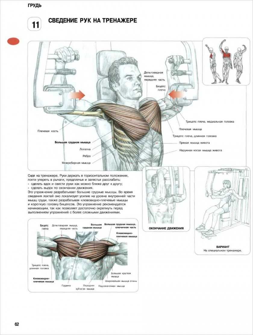 Анатомия мышц Фредерик Делавье