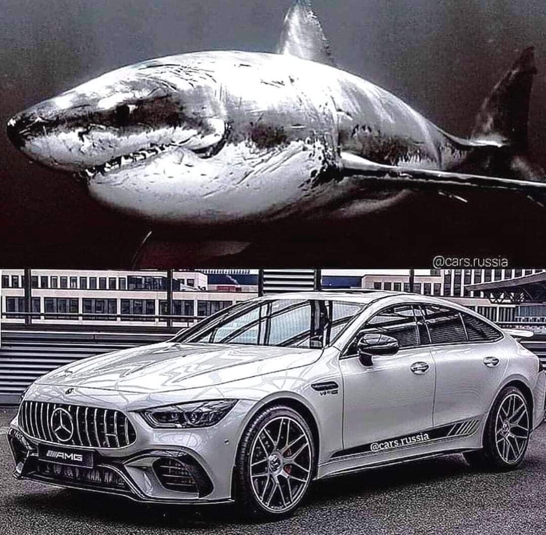 Машина похожая на акулу